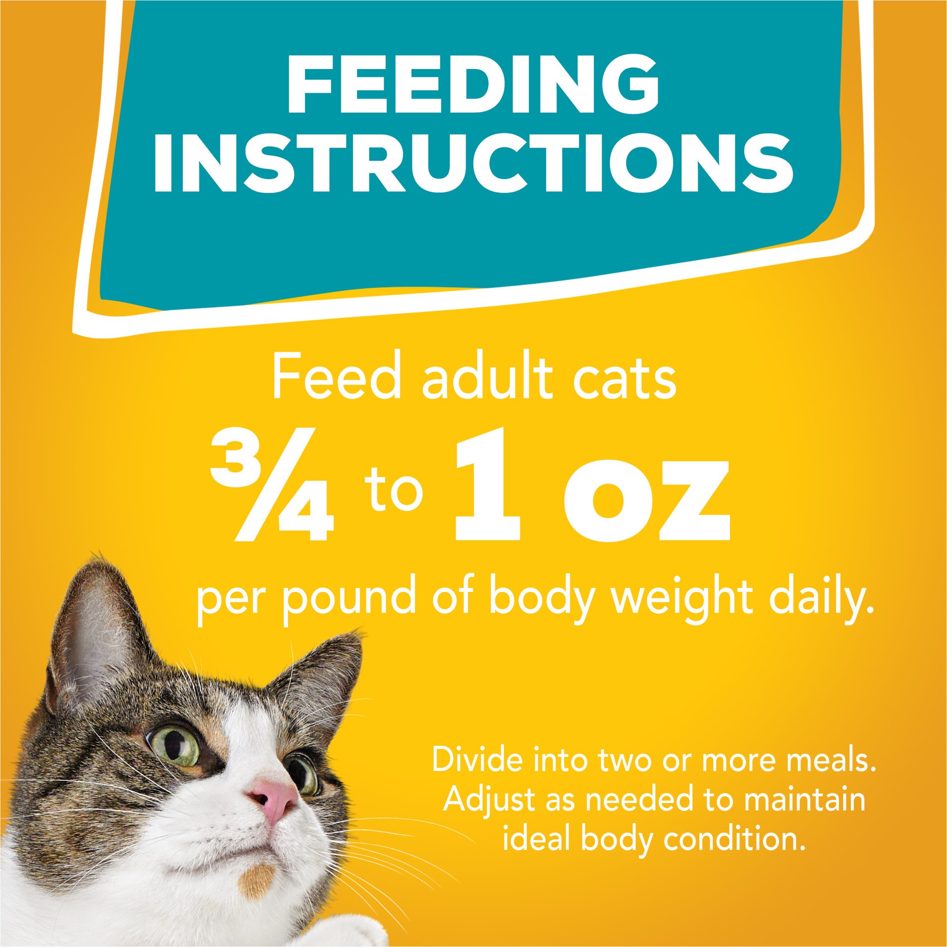 slide 8 of 8, Friskies Purina Friskies Gravy Wet Cat Food Variety Pack, Tasty Treasures Prime Filets - (24) 5.5 oz. Cans, 8.25 lb