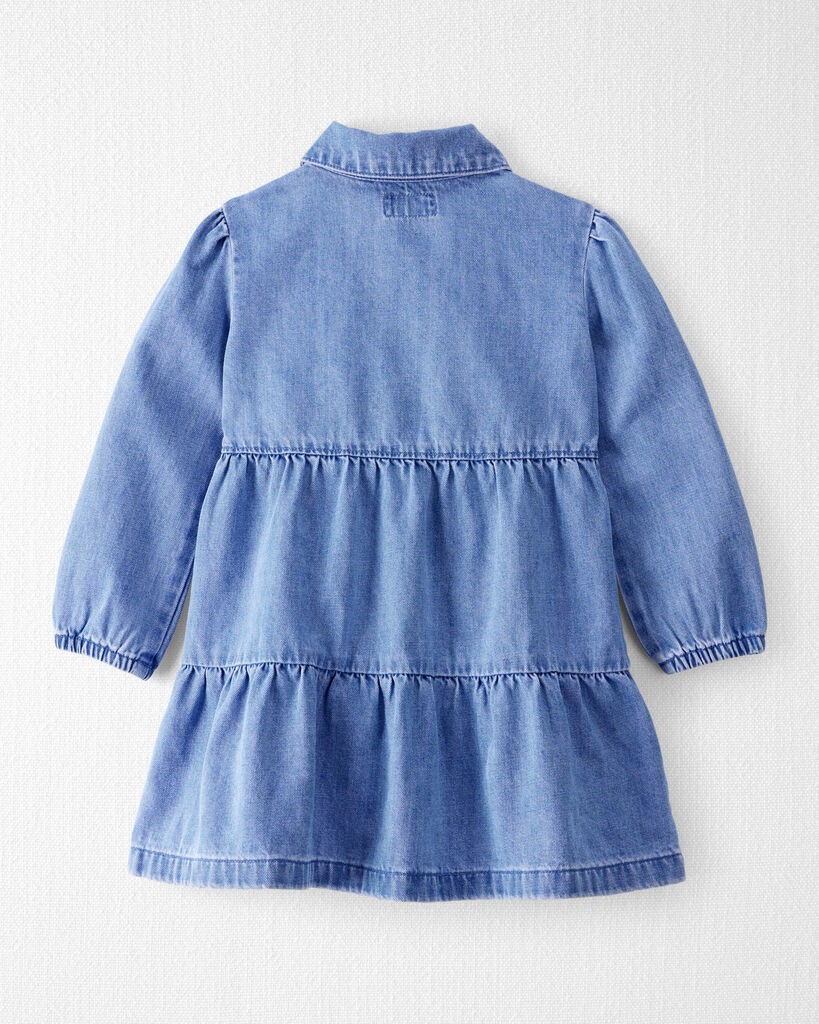 slide 3 of 4, Littleplanet Toddler Organic Cotton Chambray Dress Chambray 4T, 1 ct