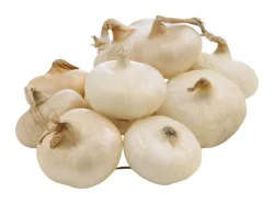 Cipolline Onions