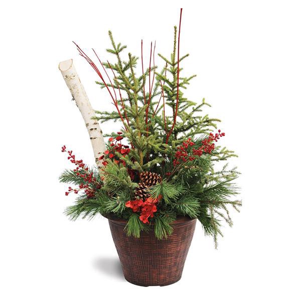 slide 1 of 1, Hy-Vee Floral Premium Spruce Top Planter, 1 ct