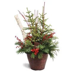Hy-Vee Floral Premium Spruce Top Planter