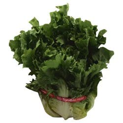 Produce Endive 1 ea