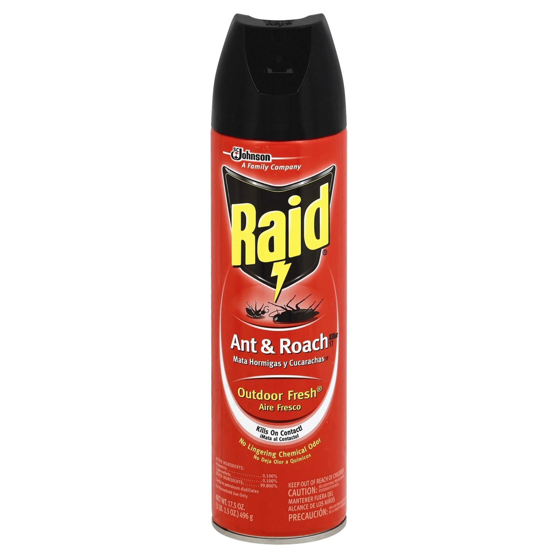 Raid Ant & Roach Killer With Outdoor Fresh Scent 17.5 oz Shipt