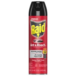 Raid Outdoor Fresh Scent Ant & Roach Killer 26 17.5 oz