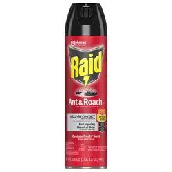 Raid Ant & Roach 26, Aerosol Bug Spray Kills on Contact, Outdoor Fresh Scent, 17.5 oz