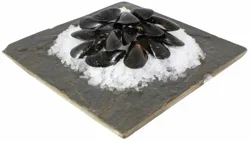 Live Fresh P.E.I. Mussels