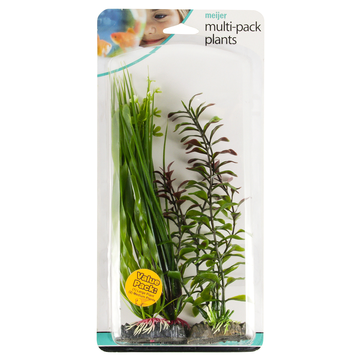 slide 1 of 2, Meijer Multi-Pack Plants, 1 Lrg and 2 med, 1 CT      