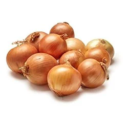 Spanish Onions
