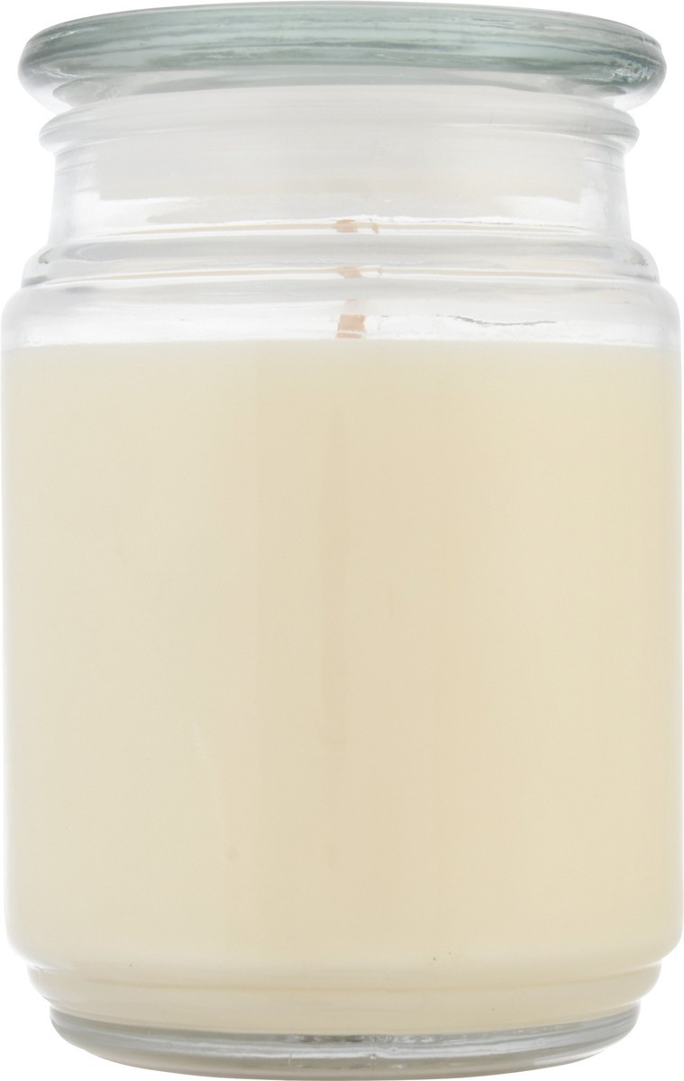 slide 3 of 11, Candle-Lite Everyday Saltwater Lotus, 18 oz