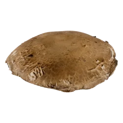 Portabella Mushrooms