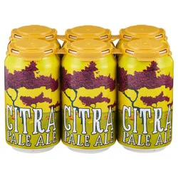 Odd Side Citra Pale Ale Can