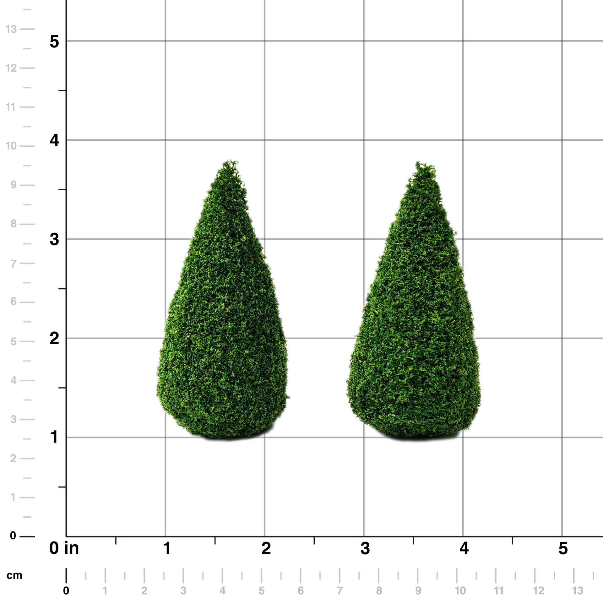 slide 2 of 4, Miniature Boxwood Shrubs, 2ct. By Make Market, 2 ct