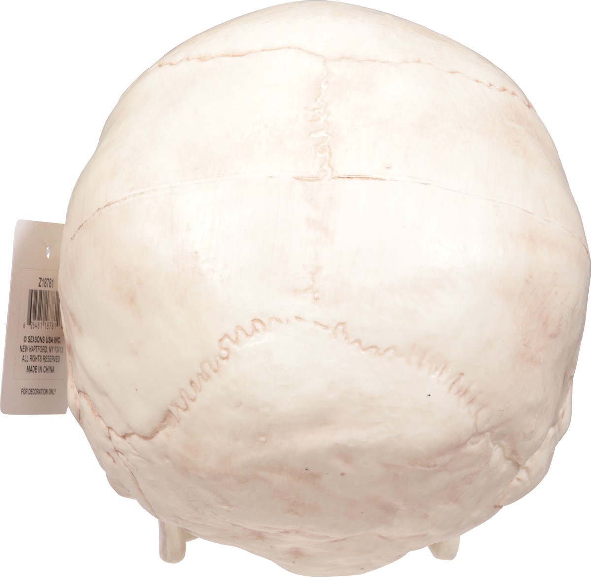 slide 7 of 12, Seasons Halloween Medium Skull with Moveable Jaw, 1 ct