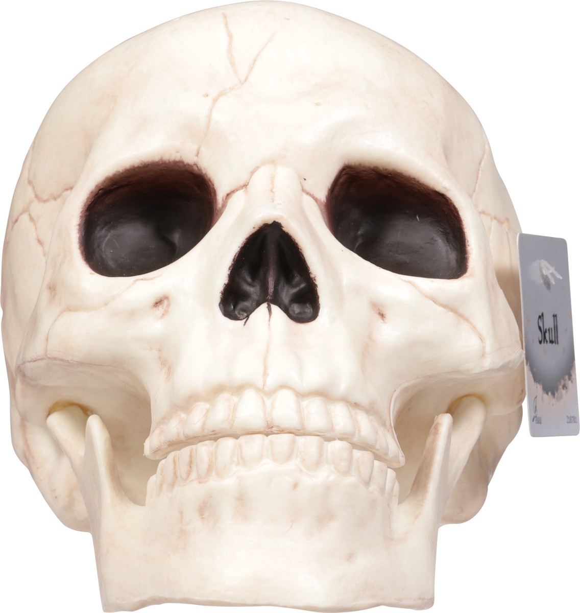 slide 4 of 12, Seasons Halloween Medium Skull with Moveable Jaw, 1 ct