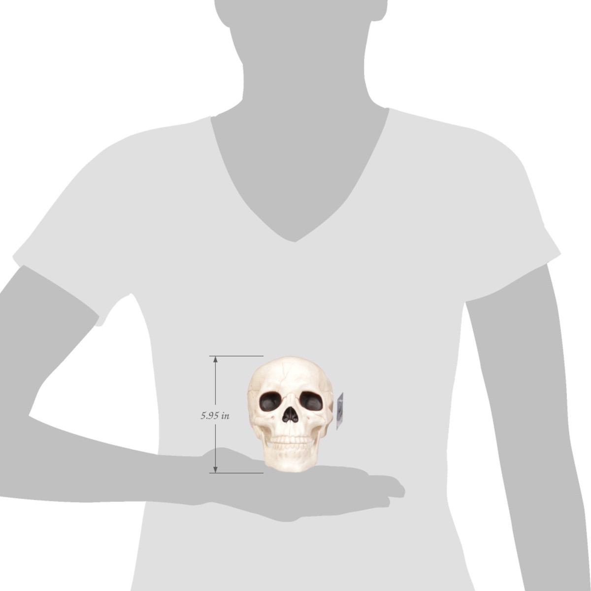 slide 3 of 12, Seasons Halloween Medium Skull with Moveable Jaw, 1 ct