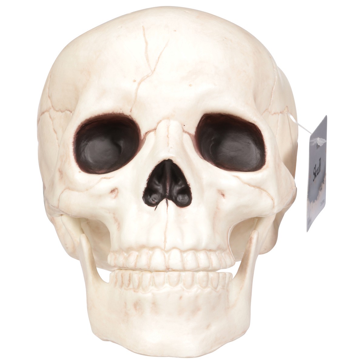 slide 12 of 12, Seasons Halloween Medium Skull with Moveable Jaw, 1 ct