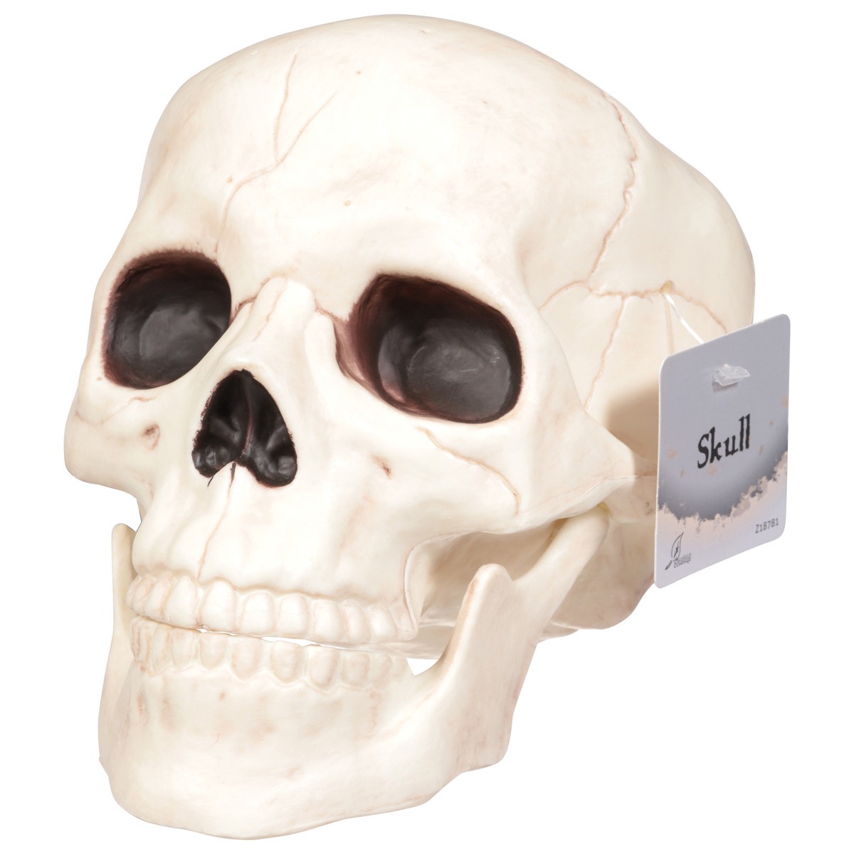 slide 6 of 12, Seasons Halloween Medium Skull with Moveable Jaw, 1 ct