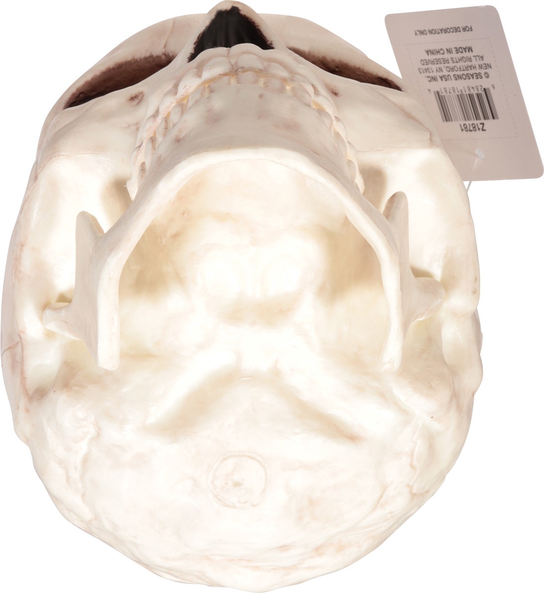 slide 9 of 12, Seasons Halloween Medium Skull with Moveable Jaw, 1 ct