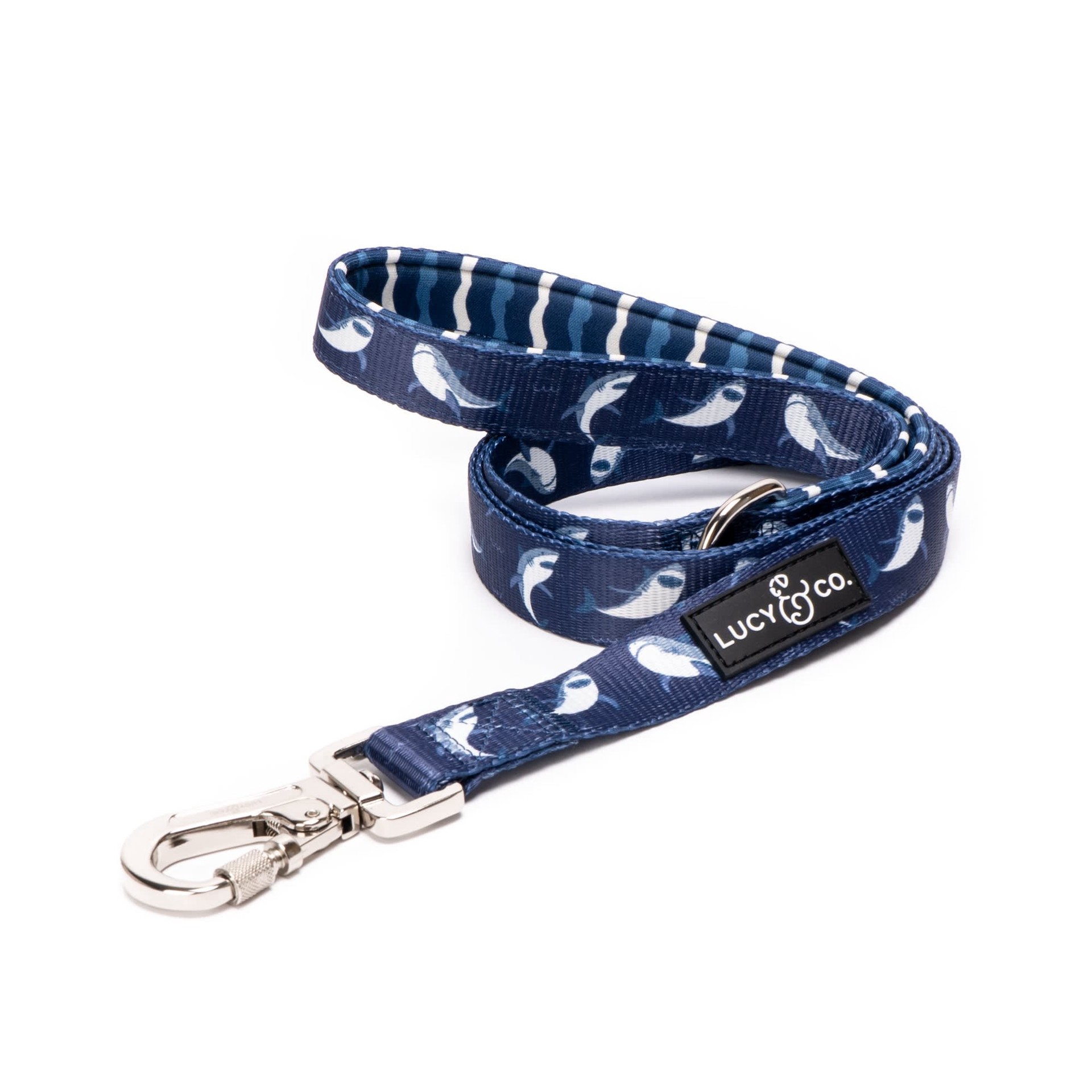 slide 1 of 1, Lucy & Co. The Shark Attack Dog Leash, 9.72 ft., 9.72 in; large