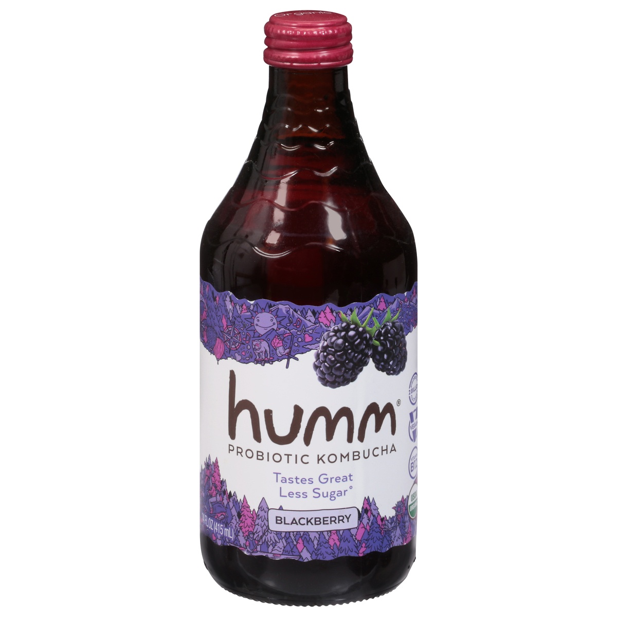 slide 1 of 1, Humm Probiotic Blackberry Kombucha 14 fl oz, 14 oz