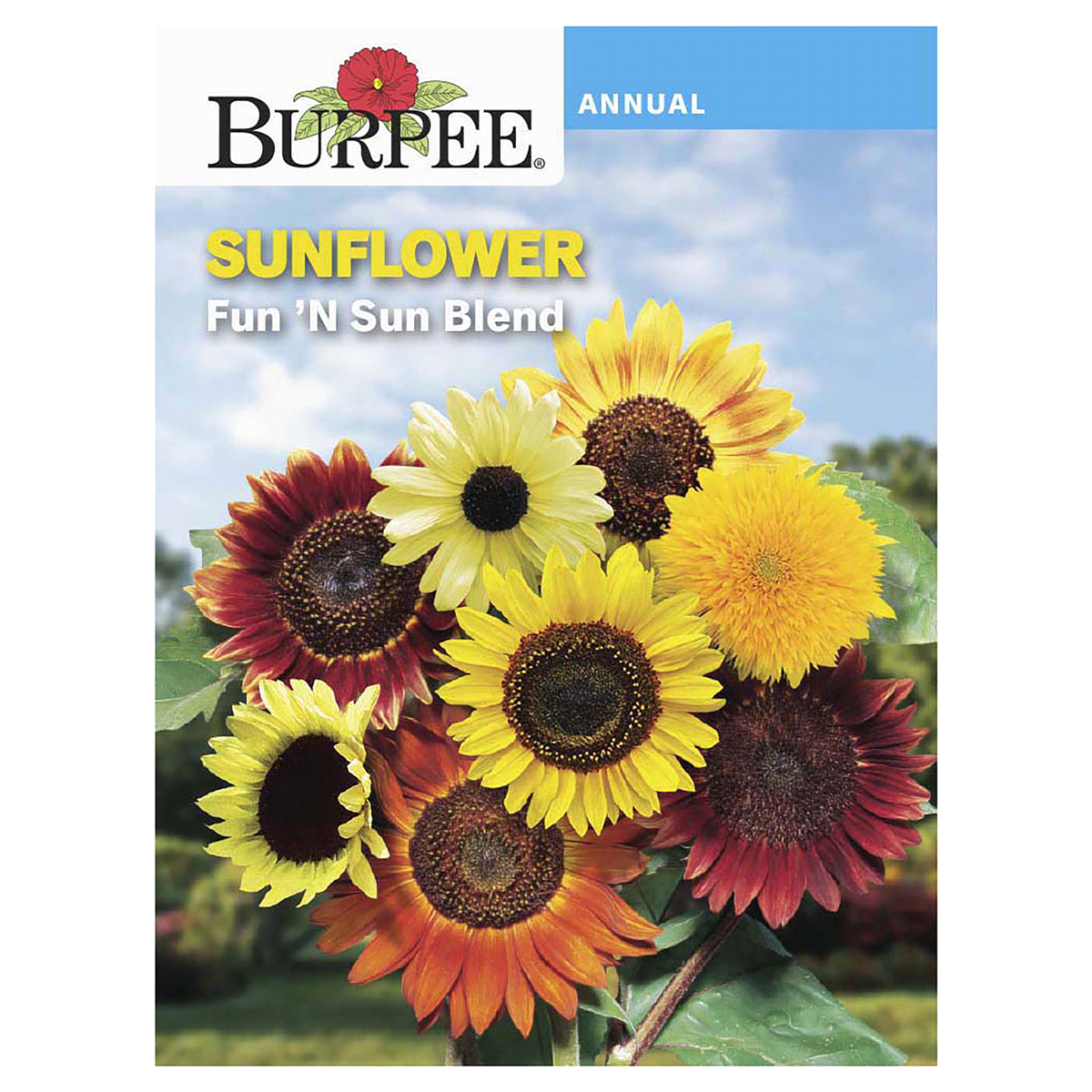 slide 1 of 5, Burpee Sunflower, Fun 'N Sun Blend Flower Seeds, 1 ct