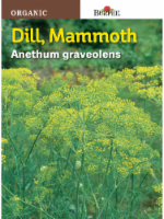 slide 1 of 1, Burpee Mammoth Dill Herb Seeds - Green, 1 ct