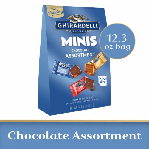 slide 1 of 1, Extra Large Assorted Minis Bags Chocolate, 12.3 oz