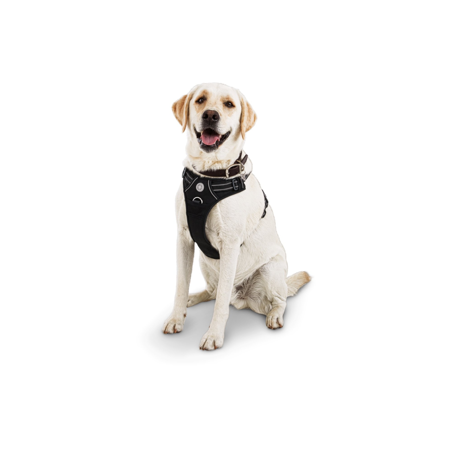 slide 1 of 1, Good2Go Black Front Walking Dog Harness, MED