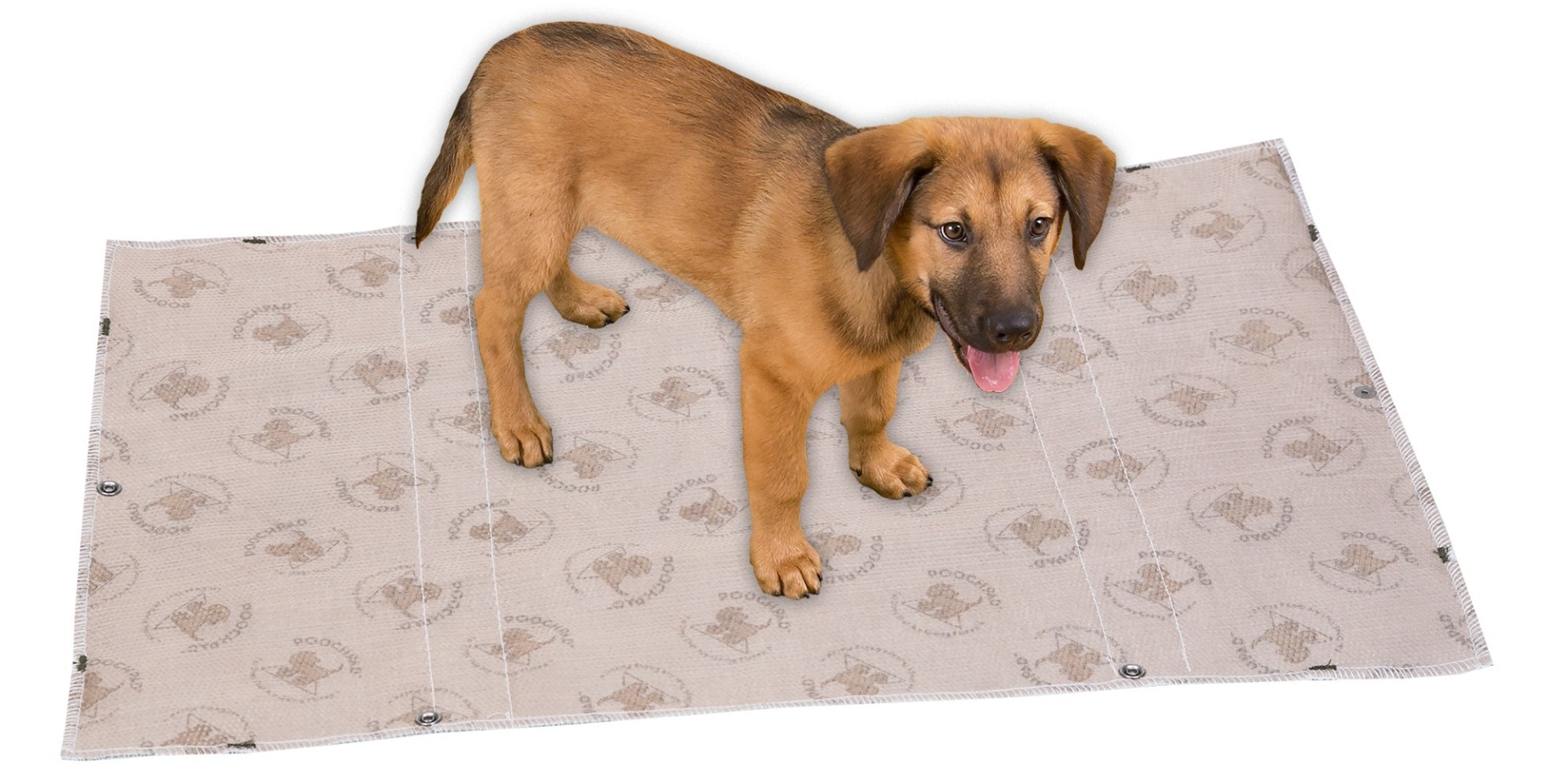 slide 1 of 1, PoochPad Interlocking Reusable Housebreaking Pads, 2 ct