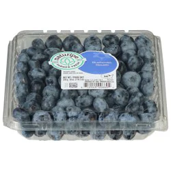 Naturipe Farms Blueberries 18 oz. LP