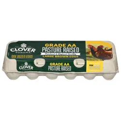 Clover Sonoma Pasture Raised Large Brown Eggs - 12 ct