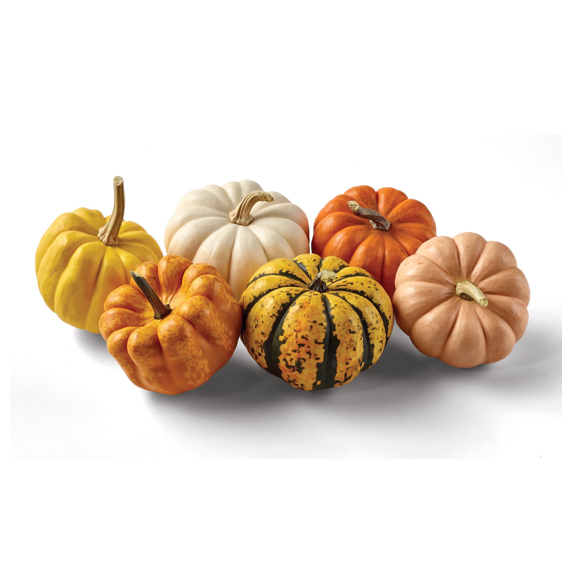 slide 1 of 1, H-E-B Texas Roots Mini 'kins Pumpkin, 1 ct