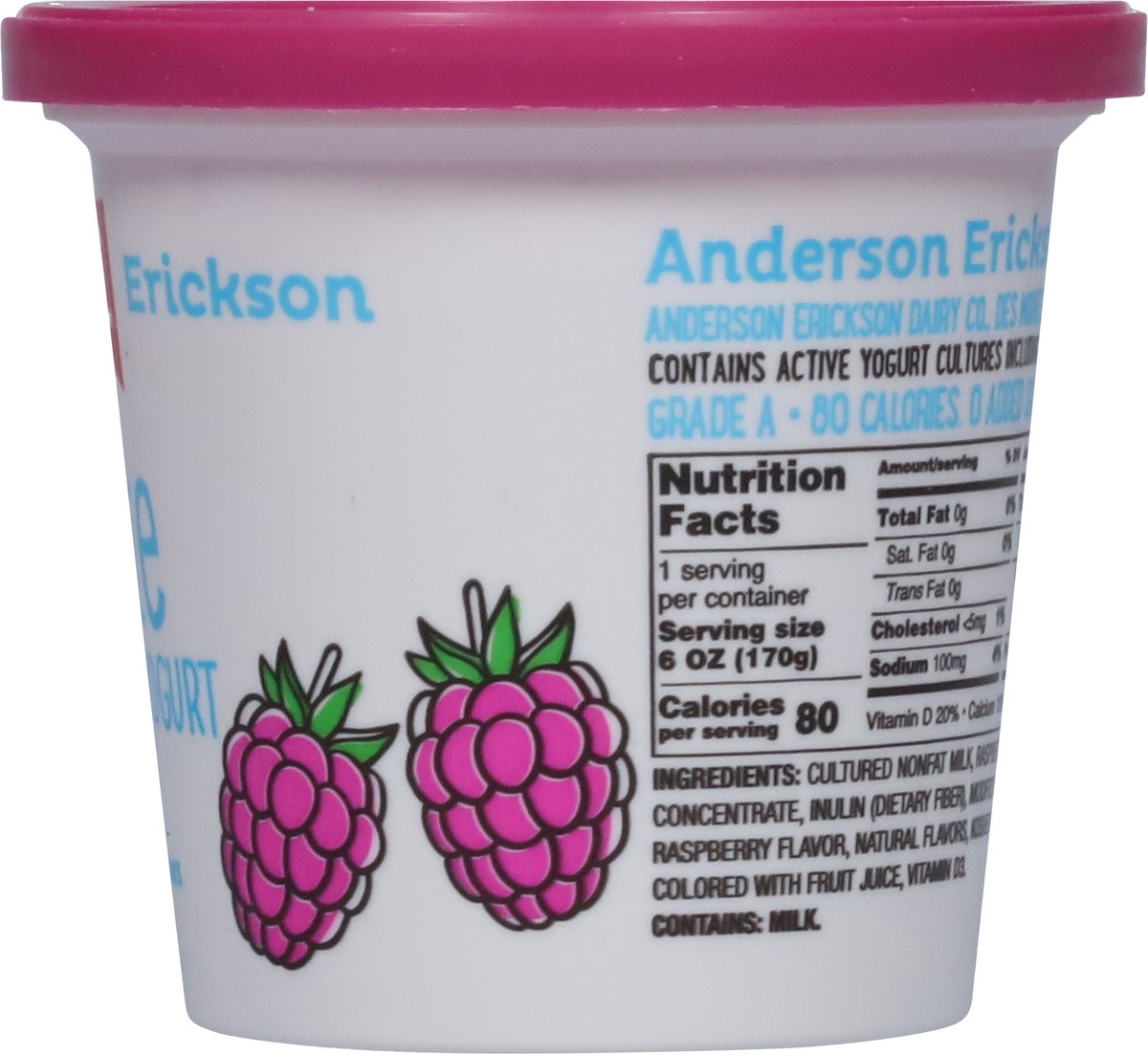 slide 5 of 9, Anderson Erickson Dairy YoLite Fat Free Raspberry Yogurt 6 oz, 6 oz