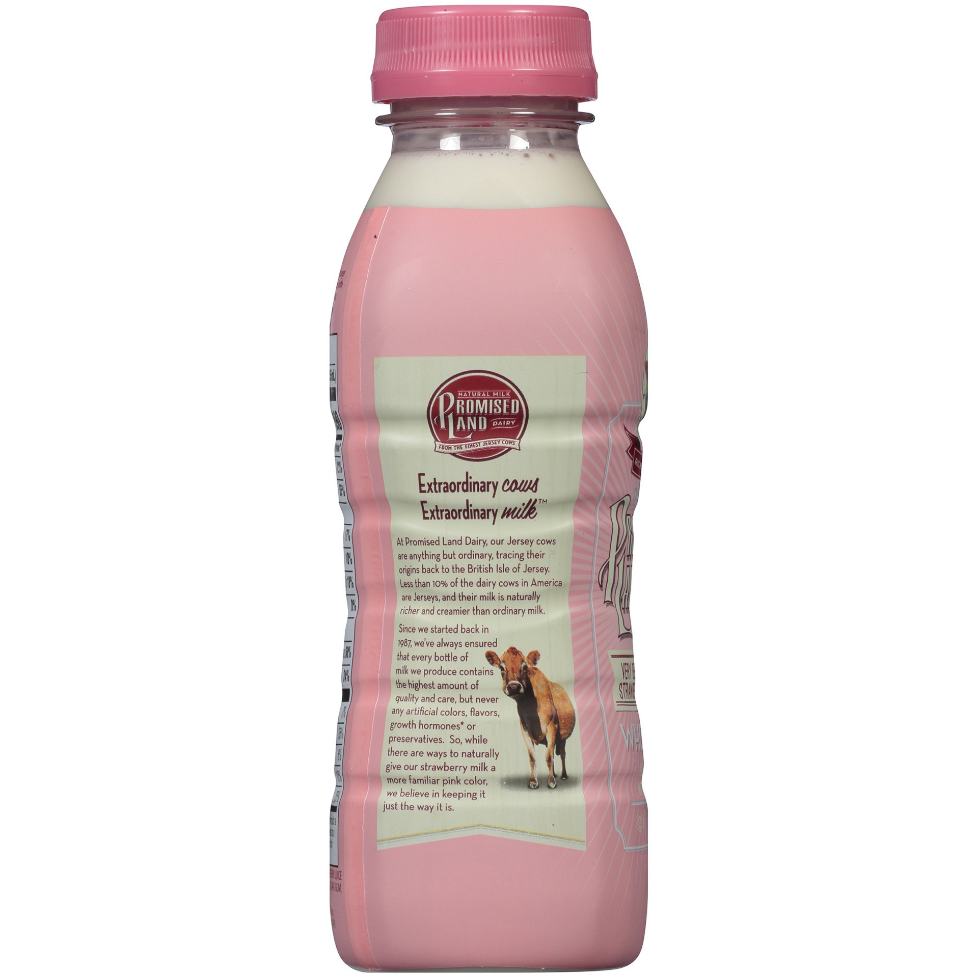 slide 7 of 8, Promised Land Dairy Very Berry Strawberry Whole Milk 12 fl oz, 12 fl oz