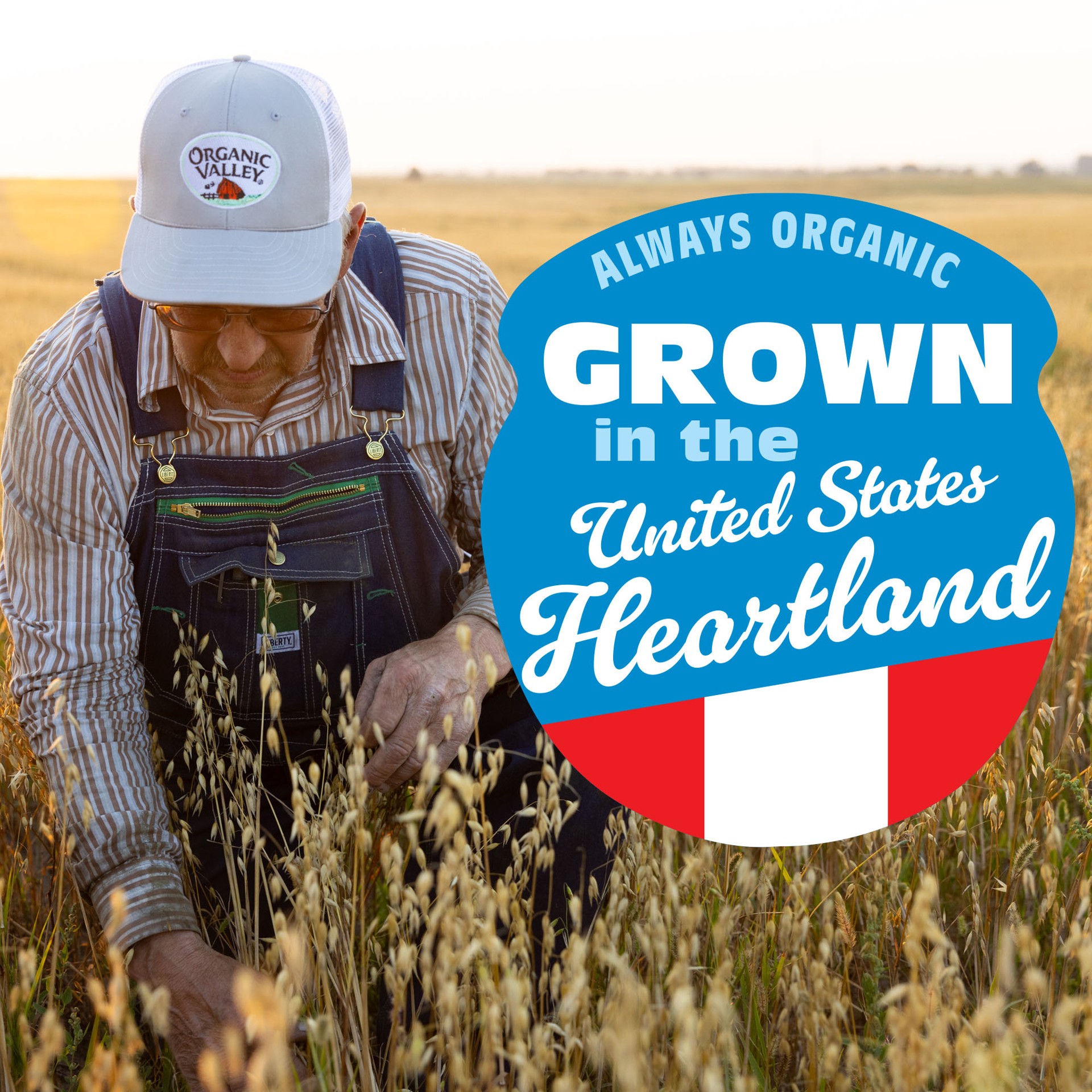 slide 2 of 8, Organic Valley Vanilla Organic Oat Creamer, 32 oz, 32 fl oz