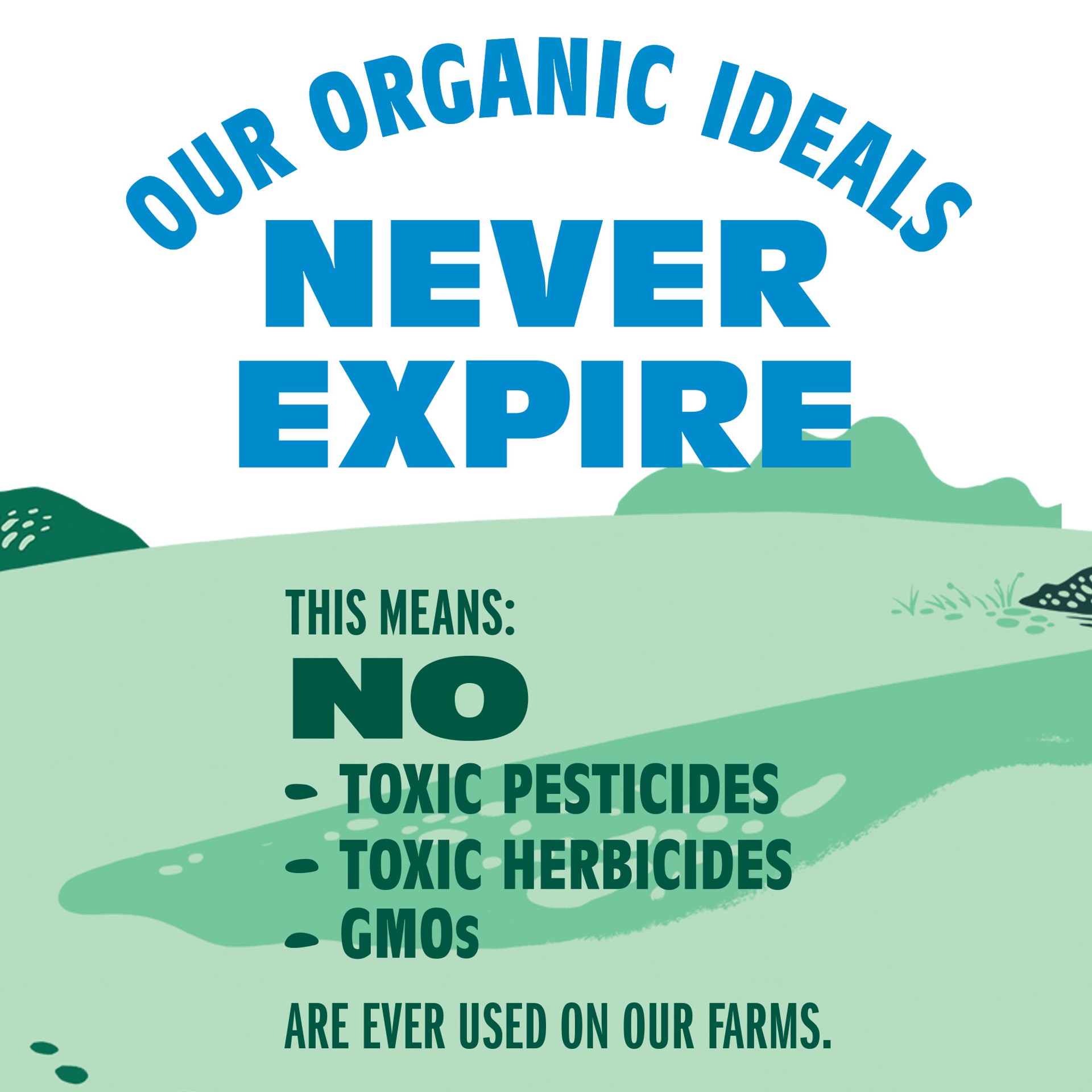 slide 4 of 8, Organic Valley Vanilla Organic Oat Creamer, 32 oz, 32 fl oz