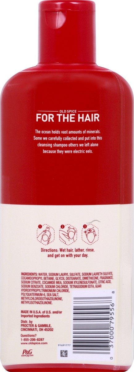 slide 5 of 12, Old Spice Shampoo & Conditioner 12 oz, 12 oz