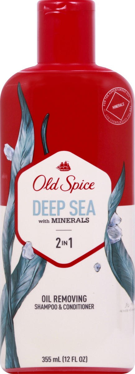 slide 3 of 12, Old Spice Shampoo & Conditioner 12 oz, 12 oz