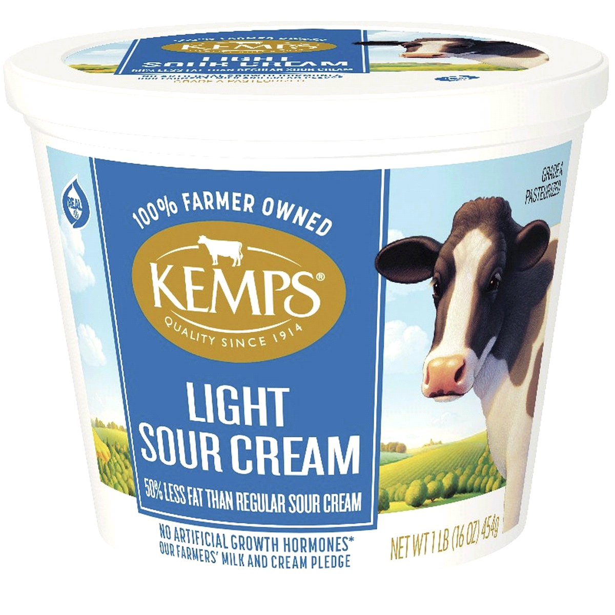 slide 1 of 1, Kemps Sour Cream Light, 16 oz
