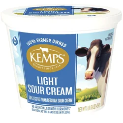 Kemps Sour Cream Light