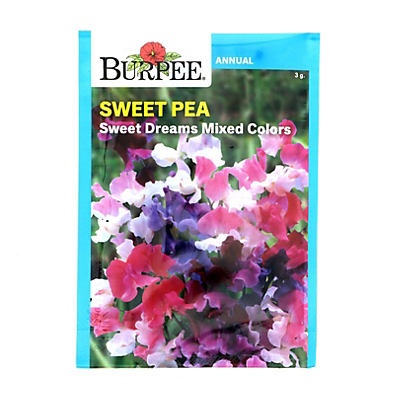 slide 1 of 1, Burpee Sweet Pea, Sweet Dreams Mixed Color Flower Seeds, 1 ct