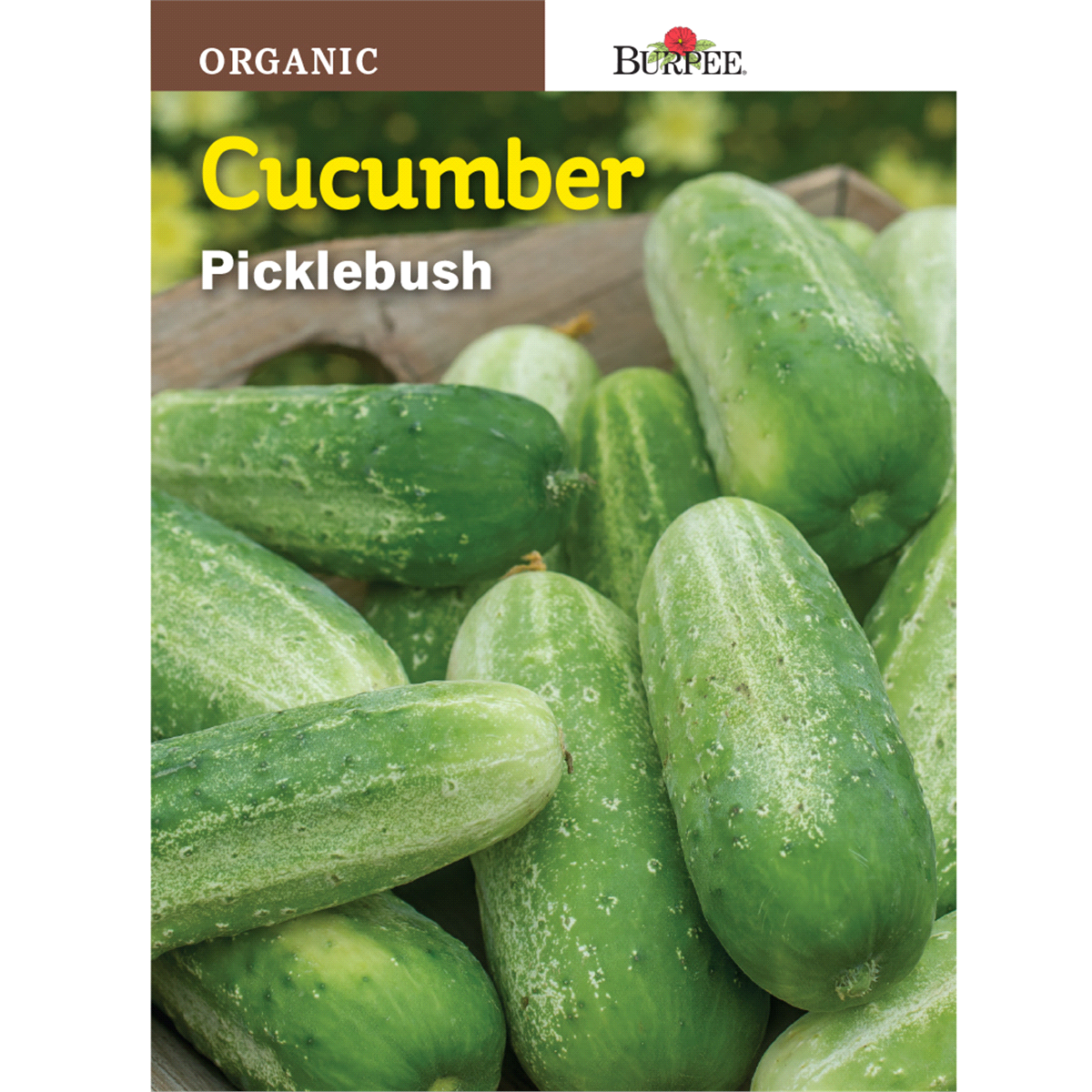 slide 1 of 1, Burpee Cucumber Picklebush Seeds, 1 ct