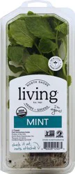 North Shore Living Mint Organic