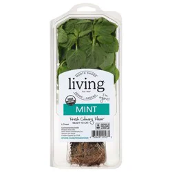 North Shore Living Mint Organic