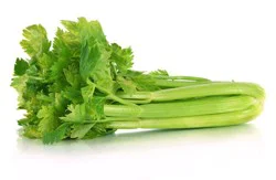 Celery Stalks