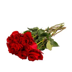 Valentine's Long Stem Roses Bouquet, Dozen