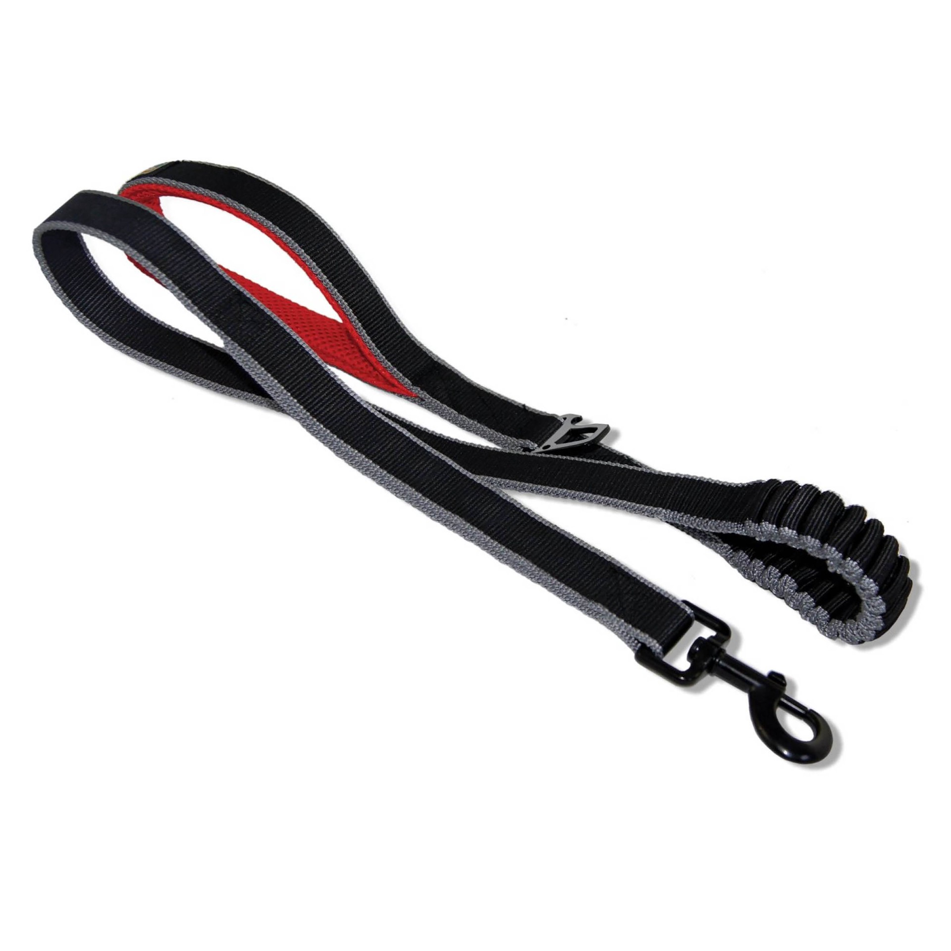 slide 1 of 1, Kurgo Springback Dog Leash, 1 ct