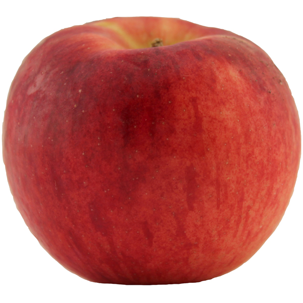 slide 1 of 1, Premium Organic Apples Courtland, 16 oz