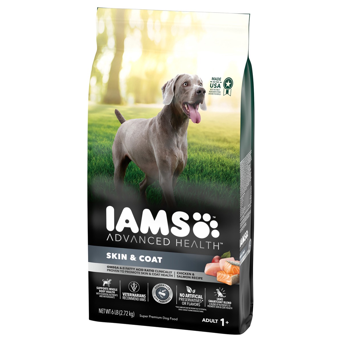 Iams skin 2024 and coat