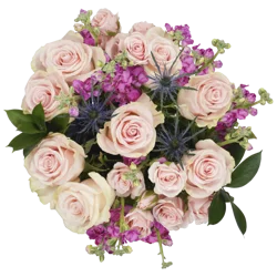 Bloom Haus Classic Rose Bouquet - Pink